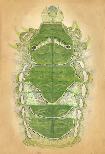 0033-momoyamasuzuko