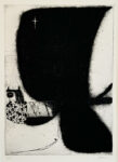 0046-juntada
